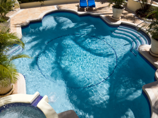 What Your Custom Pool Shapes